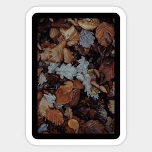 Autumn Sticker